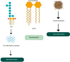 https://www.biotechnologia-journal.org/f/fulltexts/195495/BTA-106-1-195495-g004_min.jpg