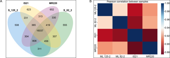 https://www.biotechnologia-journal.org/f/fulltexts/200704/BTA-106-1-200704-g002_min.jpg