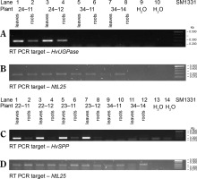 https://www.biotechnologia-journal.org/f/fulltexts/201460/BTA-106-1-201460-g003_min.jpg