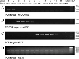 https://www.biotechnologia-journal.org/f/fulltexts/201460/BTA-106-1-201460-g004_min.jpg
