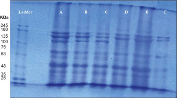 https://www.biotechnologia-journal.org/f/fulltexts/202318/BTA-106-1-202318-g009_min.jpg