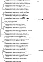 https://www.biotechnologia-journal.org/f/fulltexts/202470/BTA-106-2-202470-g001_min.jpg