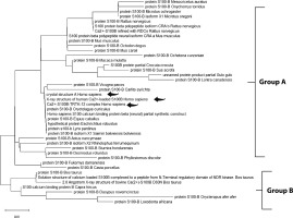 https://www.biotechnologia-journal.org/f/fulltexts/202470/BTA-106-2-202470-g002_min.jpg