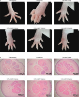 https://www.biotechnologia-journal.org/f/fulltexts/204527/BTA-106-2-204527-g006_min.jpg