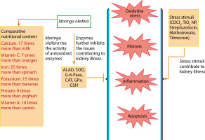 https://www.biotechnologia-journal.org/f/fulltexts/204529/BTA-106-2-204529-g003_min.jpg