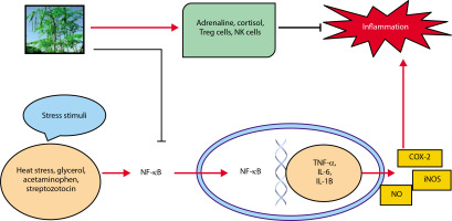 https://www.biotechnologia-journal.org/f/fulltexts/204529/BTA-106-2-204529-g005_min.jpg