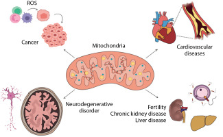 https://www.biotechnologia-journal.org/f/fulltexts/204532/BTA-106-2-204532-g001_min.jpg