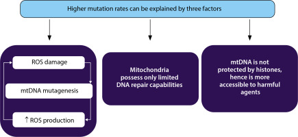 https://www.biotechnologia-journal.org/f/fulltexts/204532/BTA-106-2-204532-g002_min.jpg