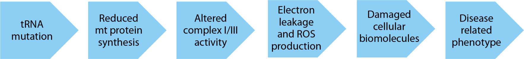 https://www.biotechnologia-journal.org/f/fulltexts/204532/BTA-106-2-204532-g003_min.jpg