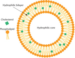 https://www.biotechnologia-journal.org/f/fulltexts/207680/BTA-106-3-207680-g001_min.jpg