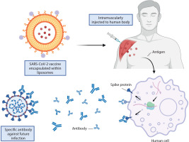 https://www.biotechnologia-journal.org/f/fulltexts/207680/BTA-106-3-207680-g002_min.jpg