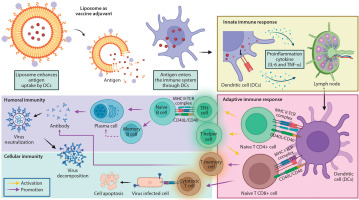https://www.biotechnologia-journal.org/f/fulltexts/207680/BTA-106-3-207680-g003_min.jpg