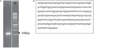 https://www.biotechnologia-journal.org/f/fulltexts/207712/BTA-106-3-207712-g002_min.jpg