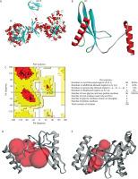 https://www.biotechnologia-journal.org/f/fulltexts/207712/BTA-106-3-207712-g003_min.jpg