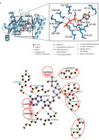https://www.biotechnologia-journal.org/f/fulltexts/207712/BTA-106-3-207712-g004_min.jpg