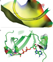 https://www.biotechnologia-journal.org/f/fulltexts/207712/BTA-106-3-207712-g005_min.jpg