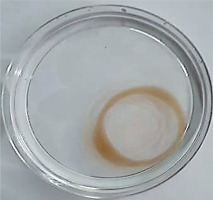 https://www.biotechnologia-journal.org/f/fulltexts/207713/BTA-106-3-207713-g001_min.jpg
