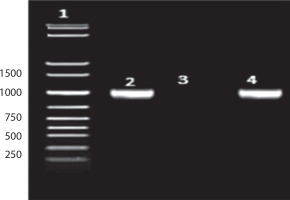 https://www.biotechnologia-journal.org/f/fulltexts/207713/BTA-106-3-207713-g003_min.jpg