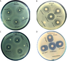 https://www.biotechnologia-journal.org/f/fulltexts/214379/BTA-107-1-214379-g003_min.jpg