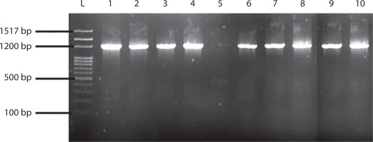 https://www.biotechnologia-journal.org/f/fulltexts/214383/BTA-107-1-214383-g001_min.jpg