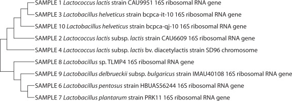 https://www.biotechnologia-journal.org/f/fulltexts/214383/BTA-107-1-214383-g002_min.jpg
