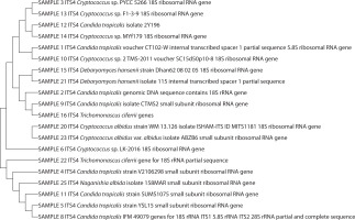 https://www.biotechnologia-journal.org/f/fulltexts/214383/BTA-107-1-214383-g004_min.jpg