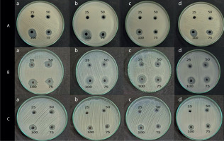 https://www.biotechnologia-journal.org/f/fulltexts/215700/BTA-107-1-215700-g006_min.jpg