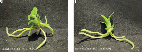 https://www.biotechnologia-journal.org/f/fulltexts/216300/BTA-107-1-216300-g001_min.jpg