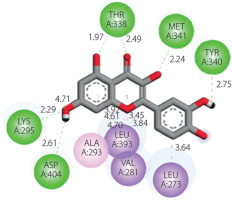 https://www.biotechnologia-journal.org/f/fulltexts/216302/BTA-107-2-216302-ig008_min.jpg