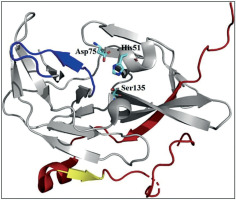 https://www.biotechnologia-journal.org/f/fulltexts/216303/BTA-107-2-216303-g004_min.jpg