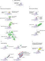 https://www.biotechnologia-journal.org/f/fulltexts/217939/BTA-107-1-217939-g001_min.jpg