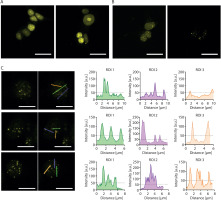 https://www.biotechnologia-journal.org/f/fulltexts/217939/BTA-107-1-217939-g002_min.jpg