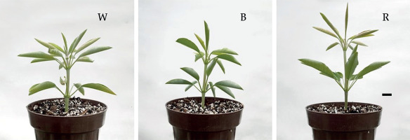 https://www.biotechnologia-journal.org/f/fulltexts/220165/BTA-107-2-220165-g005_min.jpg