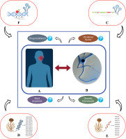 https://www.biotechnologia-journal.org/f/fulltexts/220617/BTA-107-2-220617-g001_min.jpg
