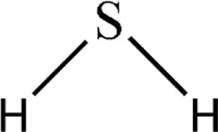 https://www.biotechnologia-journal.org/f/fulltexts/221513/BTA-107-2-221513-ig010_min.jpg