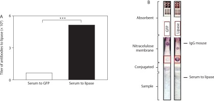 https://www.biotechnologia-journal.org/f/fulltexts/221530/BTA-107-2-221530-g002_min.jpg