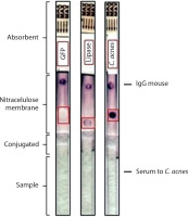 https://www.biotechnologia-journal.org/f/fulltexts/221530/BTA-107-2-221530-g003_min.jpg