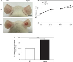 https://www.biotechnologia-journal.org/f/fulltexts/221530/BTA-107-2-221530-g004_min.jpg