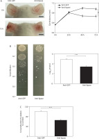 https://www.biotechnologia-journal.org/f/fulltexts/221530/BTA-107-2-221530-g007_min.jpg