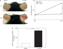 https://www.biotechnologia-journal.org/f/fulltexts/221530/BTA-107-2-221530-g009_min.jpg