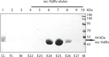 https://www.biotechnologia-journal.org/f/fulltexts/222175/BTA-107-2-222175-g002_min.jpg