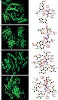 https://www.biotechnologia-journal.org/f/fulltexts/224355/BTA-107-3-224355-g004_min.jpg