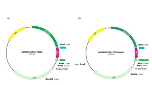 Figure from article: Gene expression,...