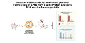 Effect of PEI25k/DOTAP/cholesterol liposomal formulation on the immunogenicity of SARS-CoV-2 spike protein-encoding DNA vaccine