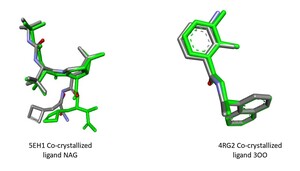 Figure from article: In silico investigation...