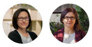 Figure from article: Preface