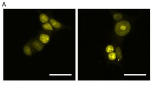 Figure from article: Challenges in visualizing...