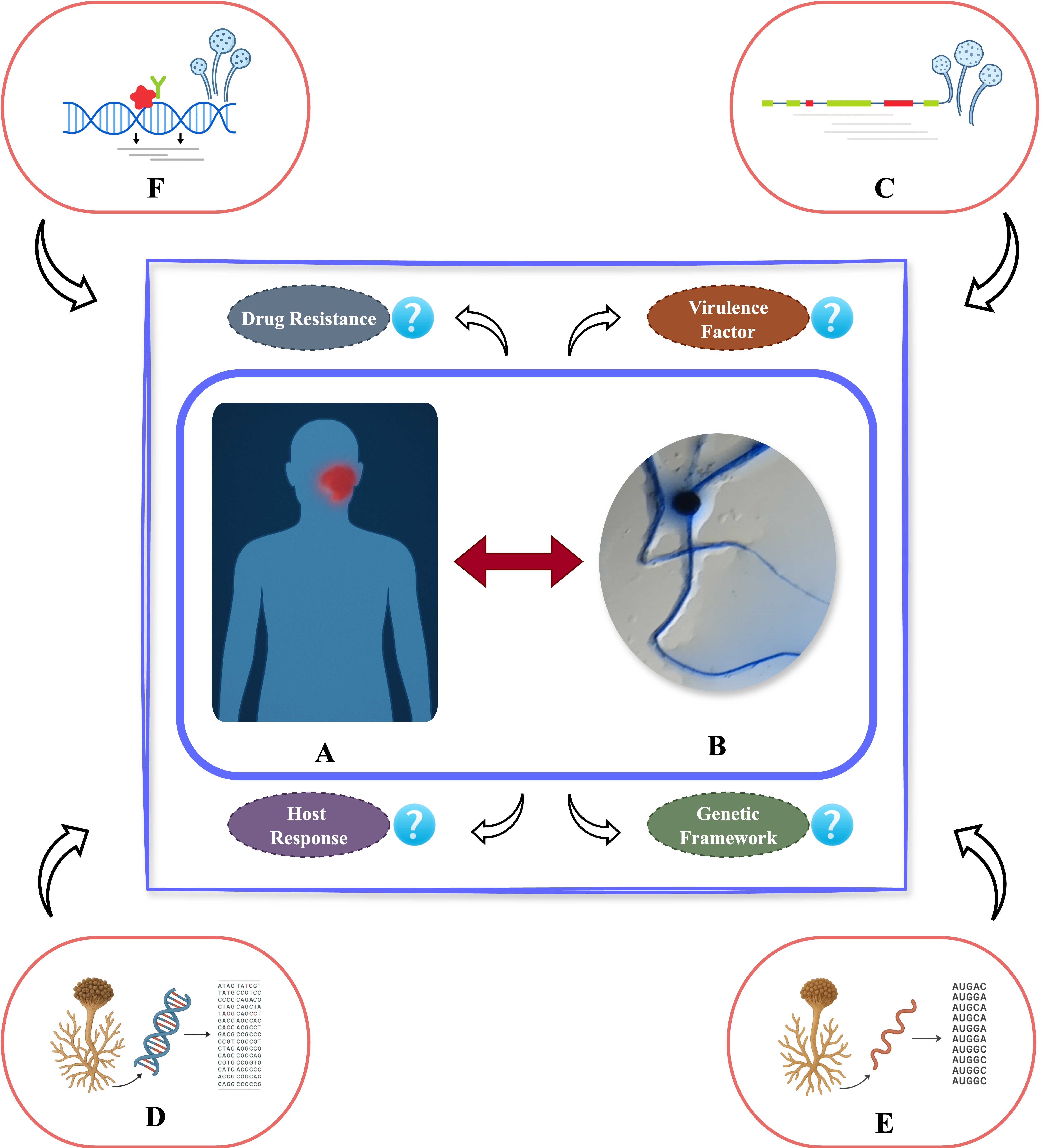 Figure from article: Understanding the biology...