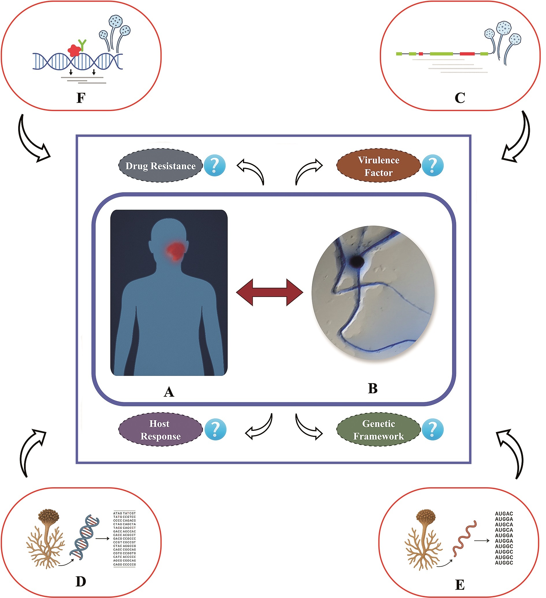 Figure from article: Understanding the biology...