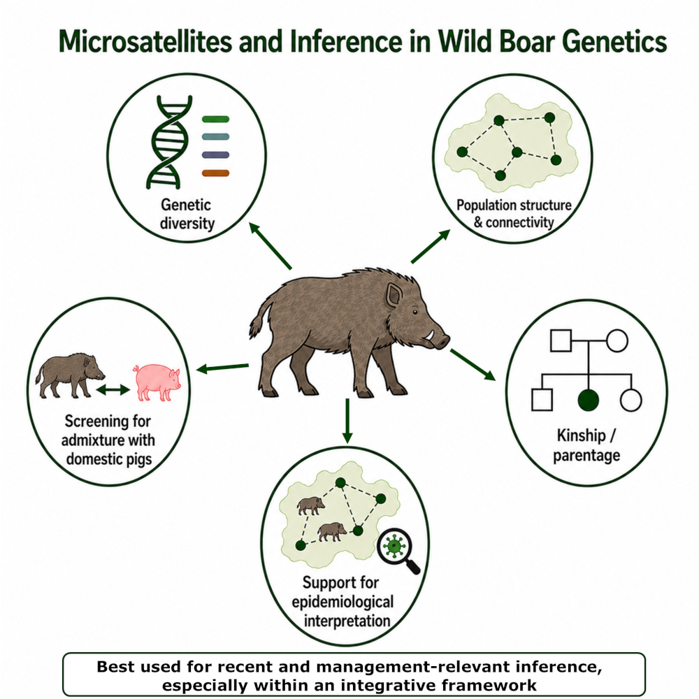 Figure from article: Microsatellite genotyping...